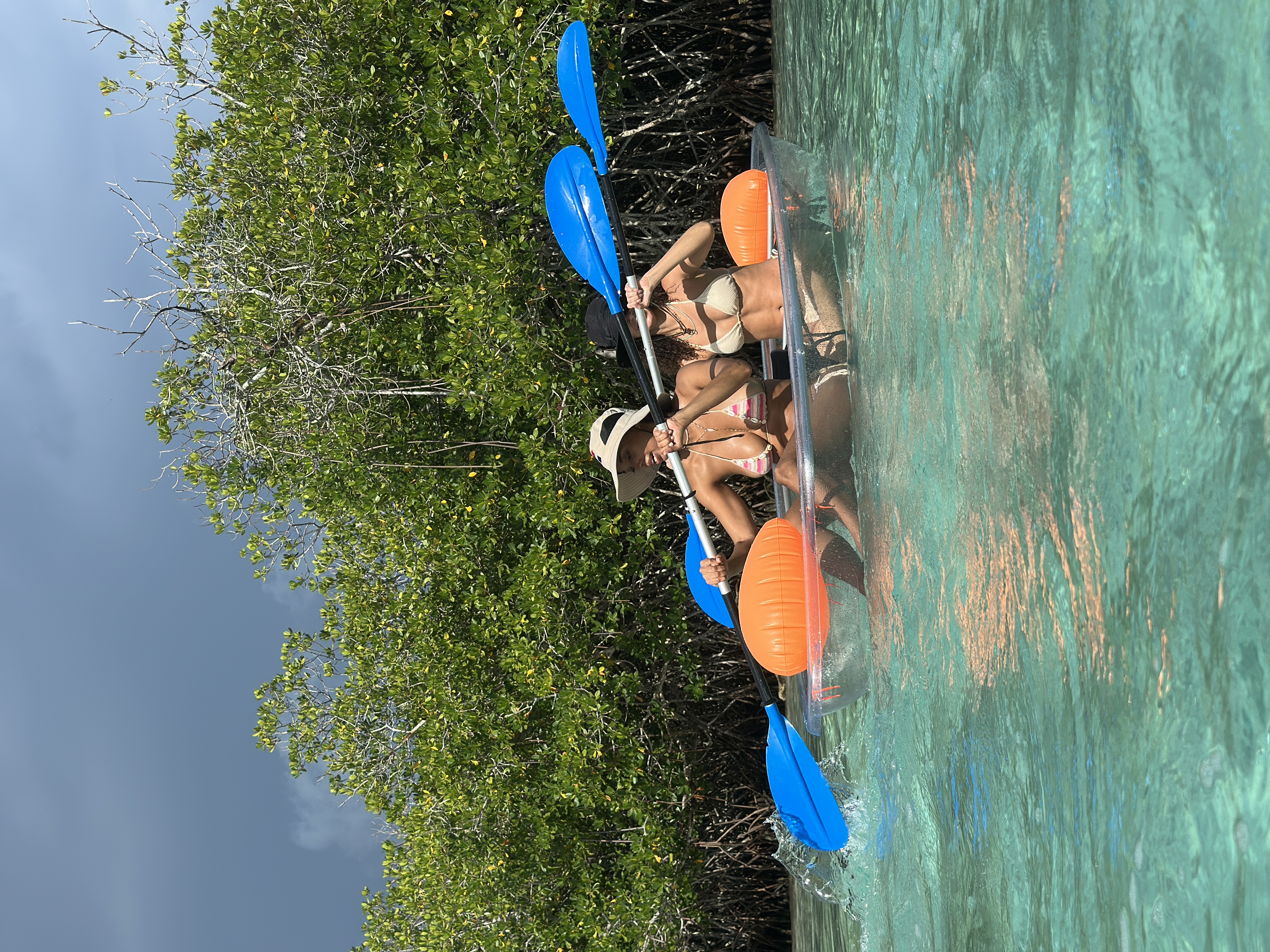 Kayak